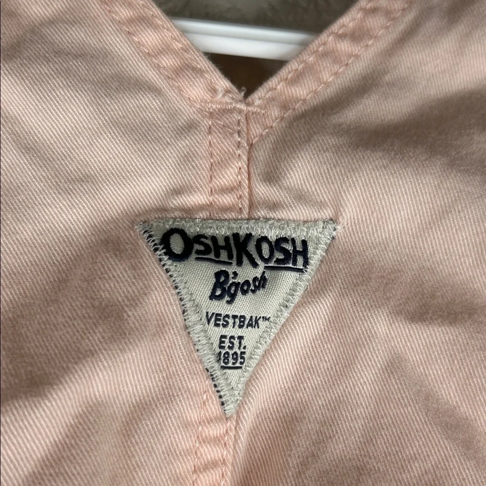 OshKosh B'gosh Girl's Pink Bunny White‎ Tulle Silver Sparkle Skirt Overalls 3T